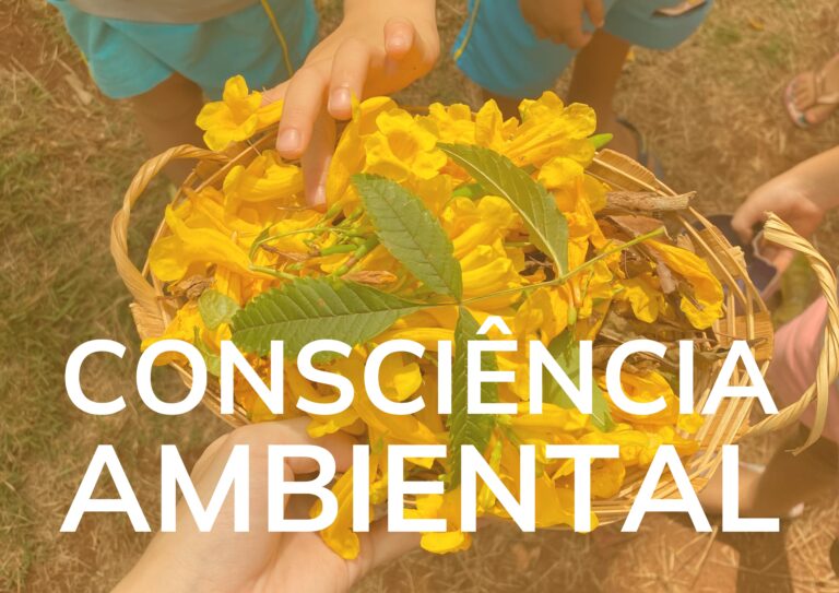 consciencia ambiental-min